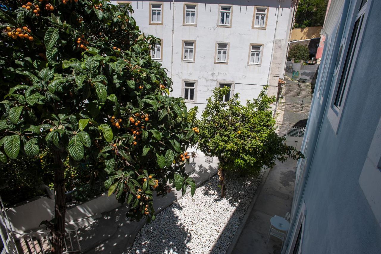 Apartment Terrace